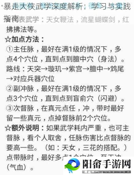 暴走大侠武学深度解析：学习与实践指南