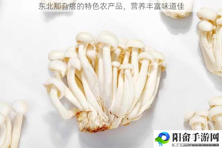 东北那旮瘩的特色农产品，营养丰富味道佳