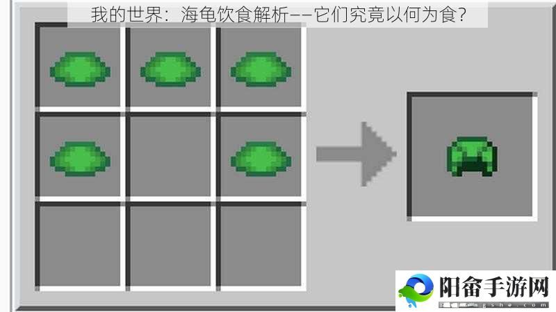 我的世界：海龟饮食解析——它们究竟以何为食？