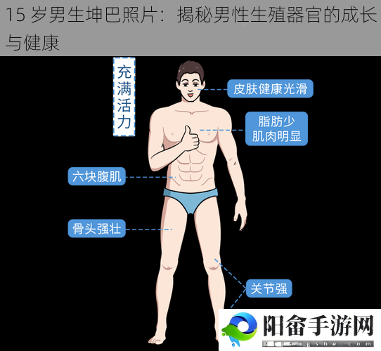 15 岁男生坤巴照片：揭秘男性**器官的成长与健康