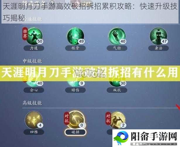 天涯明月刀手游高效破招拆招累积攻略：快速升级技巧揭秘