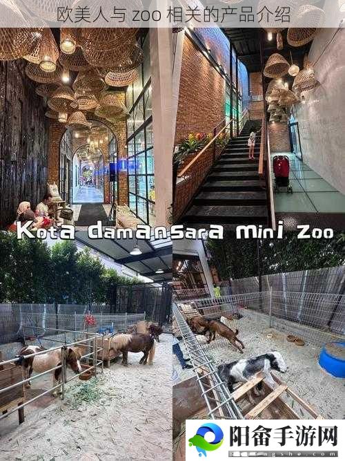 欧美人与 zoo 相关的产品介绍