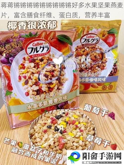 蒋蒋锵锵锵锵锵锵锵锵锵好多水果坚果燕麦片，富含膳食纤维、蛋白质，营养丰富