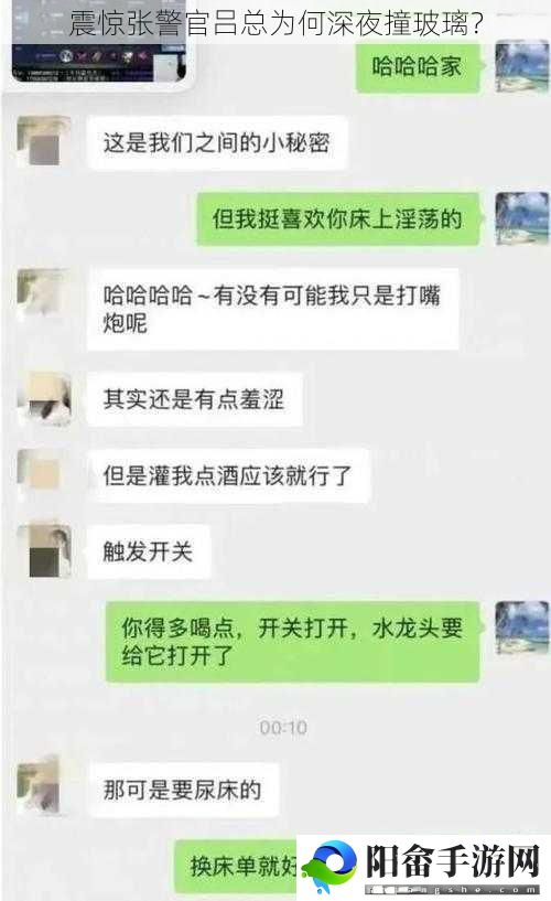 震惊张警官吕总为何深夜撞玻璃？