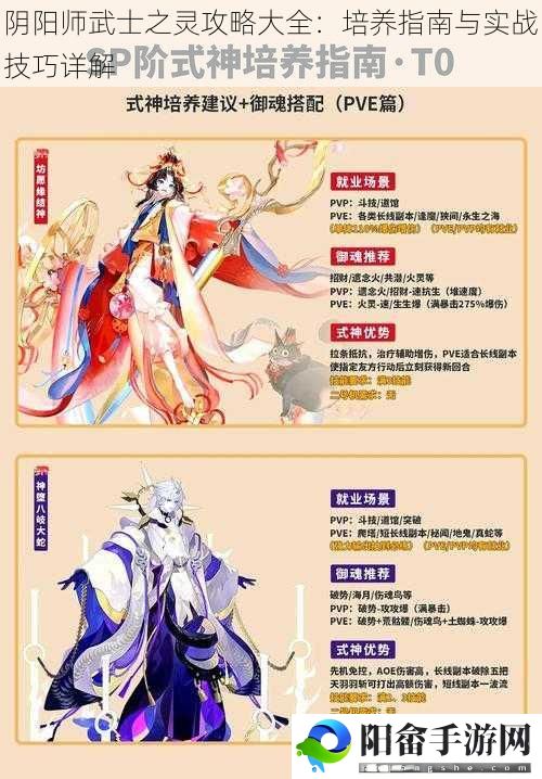 阴阳师武士之灵攻略大全：培养指南与实战技巧详解