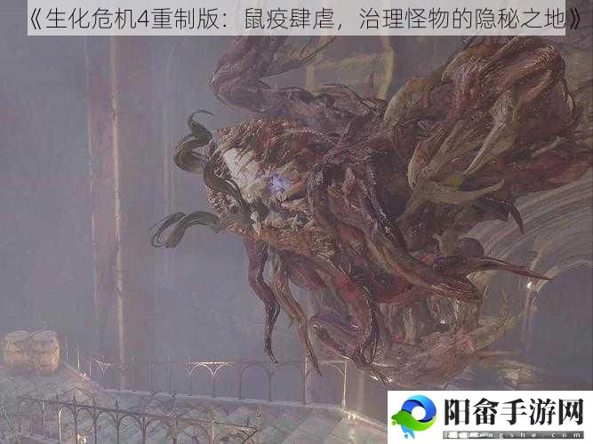 《生化危机4重制版：鼠疫肆虐，治理怪物的隐秘之地》