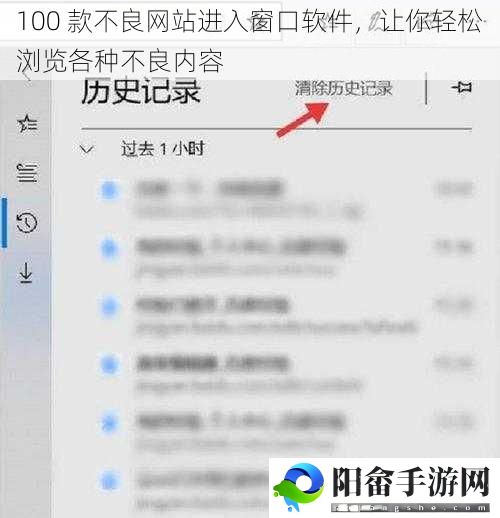 100 款不良网站进入窗口软件，让你轻松浏览各种不良内容