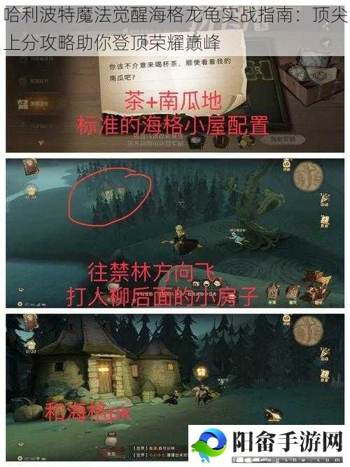 哈利波特魔法觉醒海格龙龟实战指南：顶尖上分攻略助你登顶荣耀巅峰