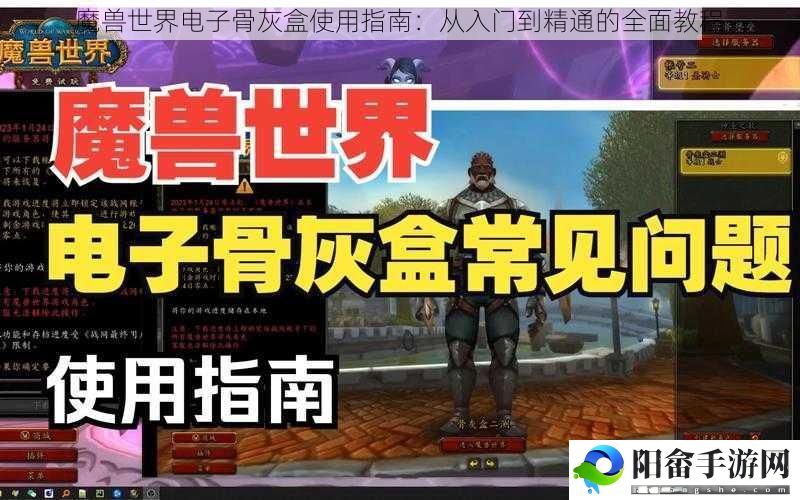 魔兽世界电子骨灰盒使用指南：从入门到精通的全面教程