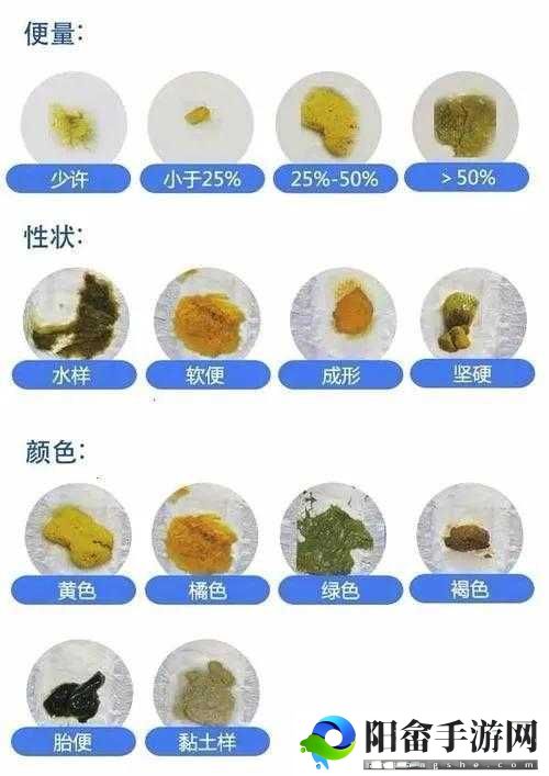 冒险岛2：探寻便便呱的隐匿之所，全面解析便便呱图鉴