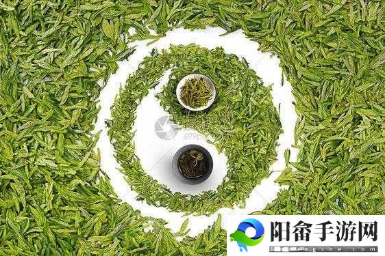 51 品茶最新：品质之选，茶韵悠长