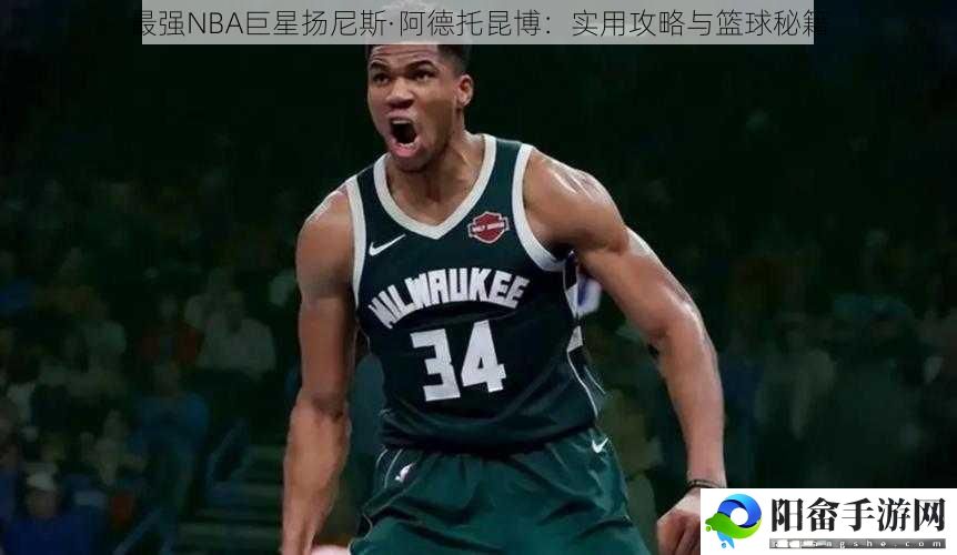 最强NBA巨星扬尼斯·阿德托昆博：实用攻略与篮球秘籍