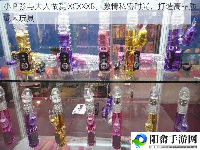 小 P 孩与大人做爰 XCXXXB，激情私密时光，打造高品质成人玩具