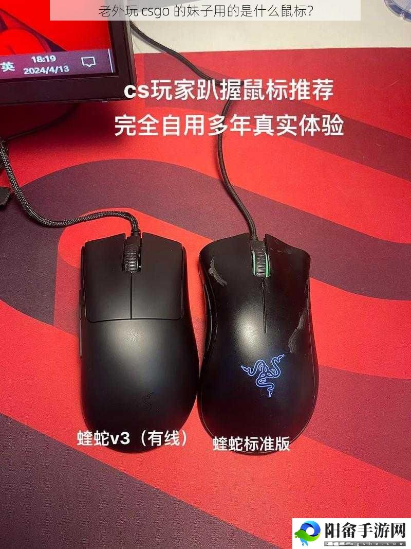 老外玩 csgo 的妹子用的是什么鼠标？