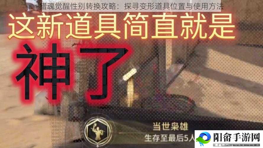 猎魂觉醒性别转换攻略：探寻变形道具位置与使用方法