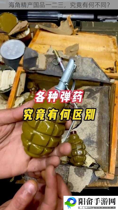 海角精产国品一二三，究竟有何不同？