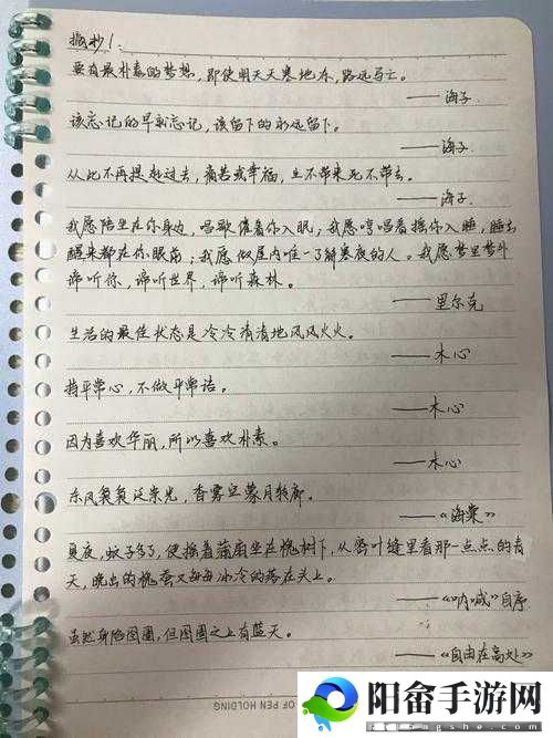 墨魂开局四张纸究竟该如何抉择最佳选择的探讨