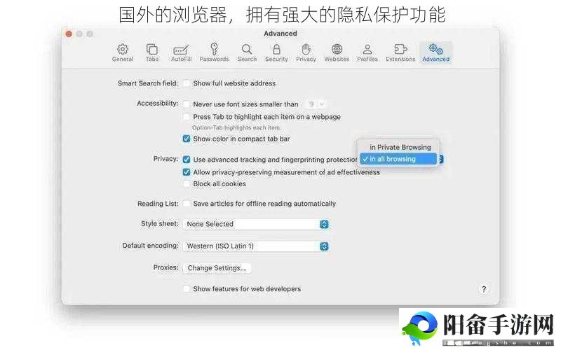 国外的浏览器，拥有强大的隐私保护功能