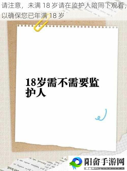 请注意，未满 18 岁请在监护人陪同下观看，以确保您已年满 18 岁