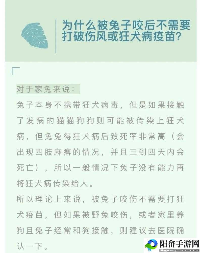 咬小兔兔的正确咬法：技巧与注意事项