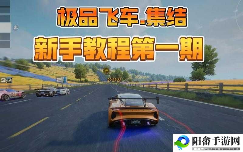 新手如何在极品飞车系列中挑选自己心仪的极致之作