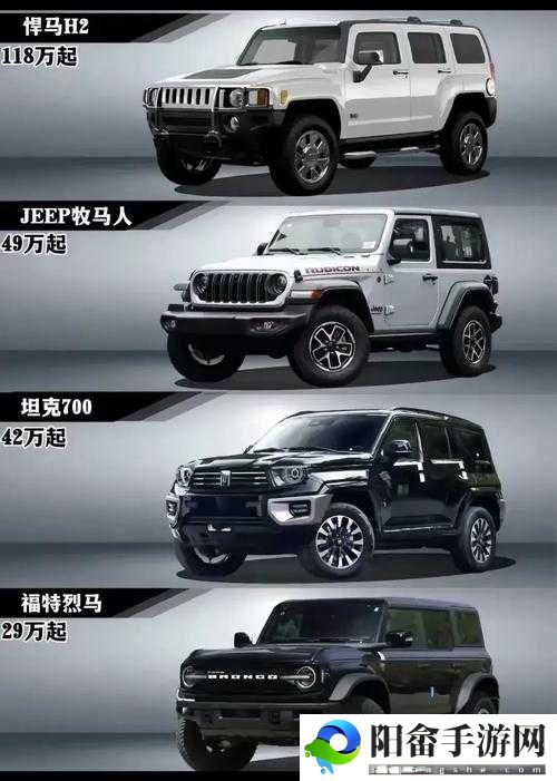 欧美 wb 二级 suv 大全：车型特点与性能解析