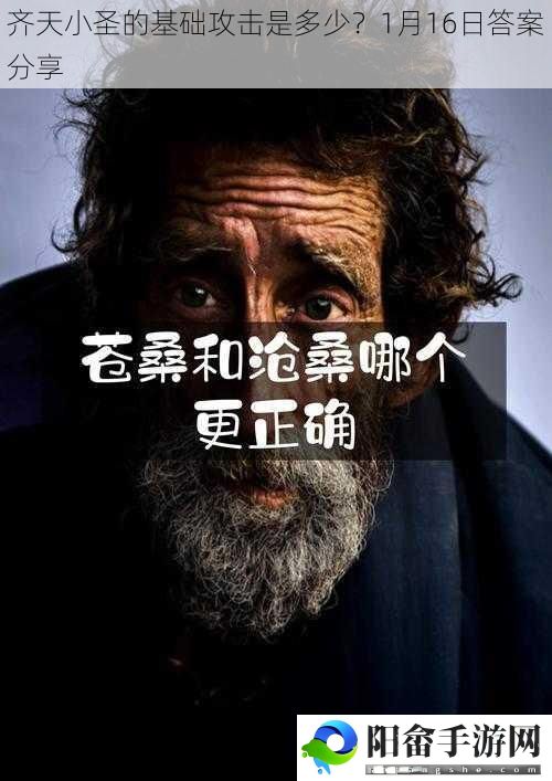 齐天小圣的基础攻击是多少？1月16日答案分享