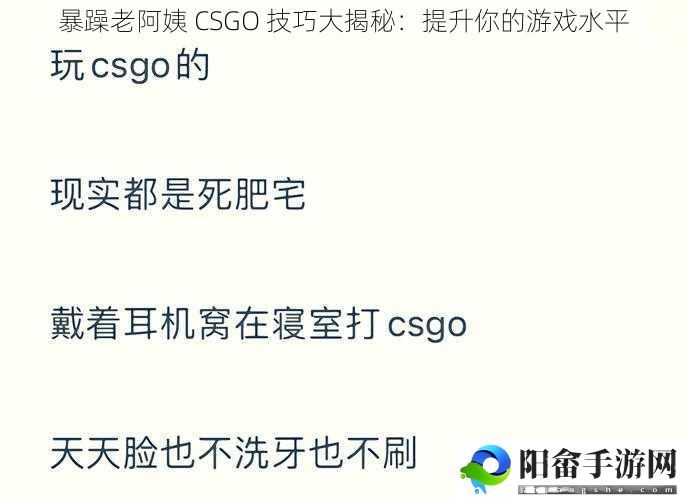 暴躁老阿姨 CSGO 技巧大揭秘：提升你的游戏水平