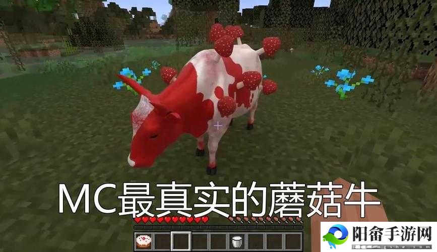 暴躁老外玩 Minecraft 蘑菇：老外的蘑菇世界探险