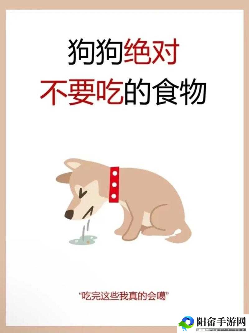 人狗胶配方大全：狗狗一天吃多少的参考