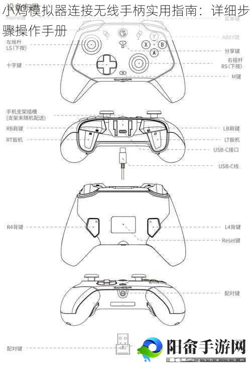 小鸡模拟器连接无线手柄实用指南：详细步骤操作手册