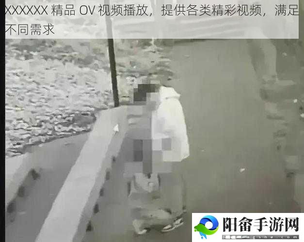 XXXXXX 精品 OV 视频播放，提供各类精彩视频，满足不同需求