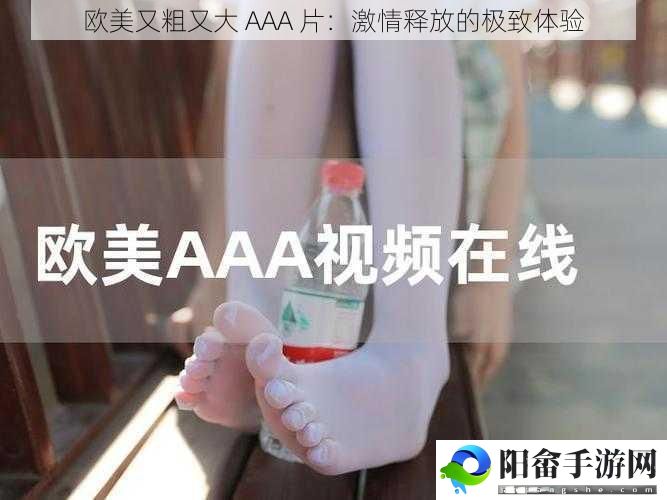 欧美又粗又大 AAA 片：激情释放的极致体验