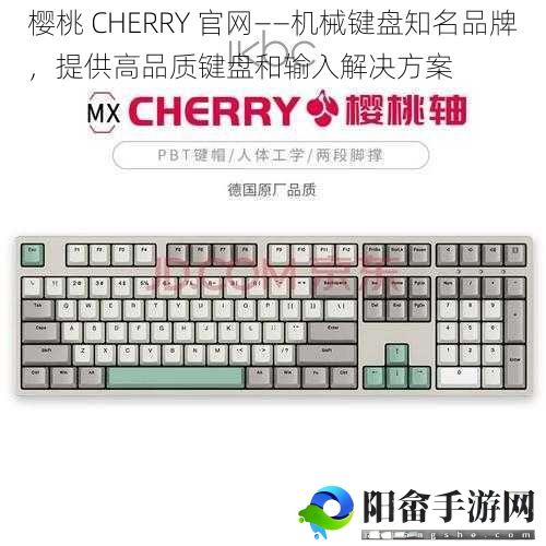 樱桃 CHERRY 官网——机械键盘知名品牌，提供高品质键盘和输入解决方案