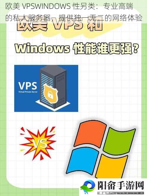 欧美 VPSWINDOWS 性另类：专业高端的私人服务器，提供独一无二的网络体验