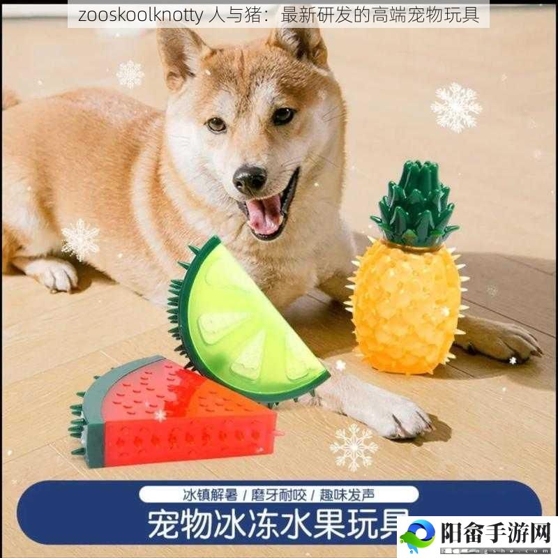 zooskoolknotty 人与猪：最新研发的高端宠物玩具