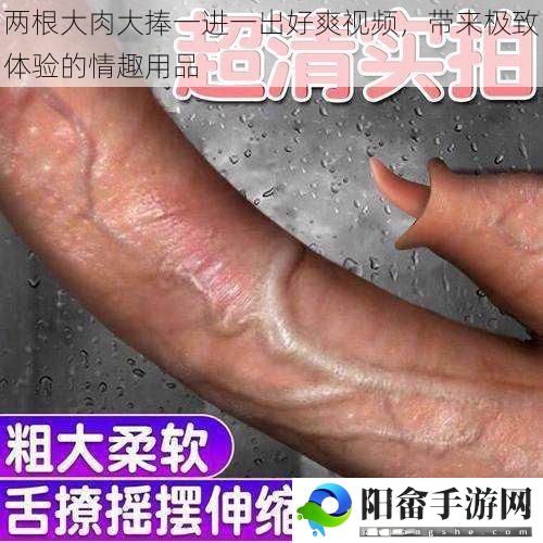 两根大肉大捧一进一出好爽视频，带来极致体验的情趣用品