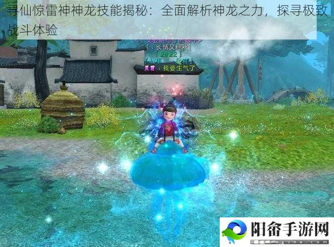 寻仙惊雷神神龙技能揭秘：全面解析神龙之力，探寻极致战斗体验