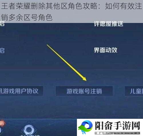 王者荣耀删除其他区角色攻略：如何有效注销多余区号角色