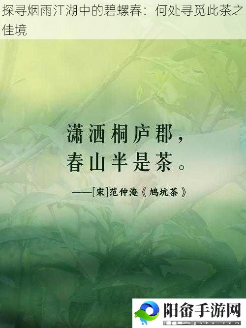 探寻烟雨江湖中的碧螺春：何处寻觅此茶之佳境