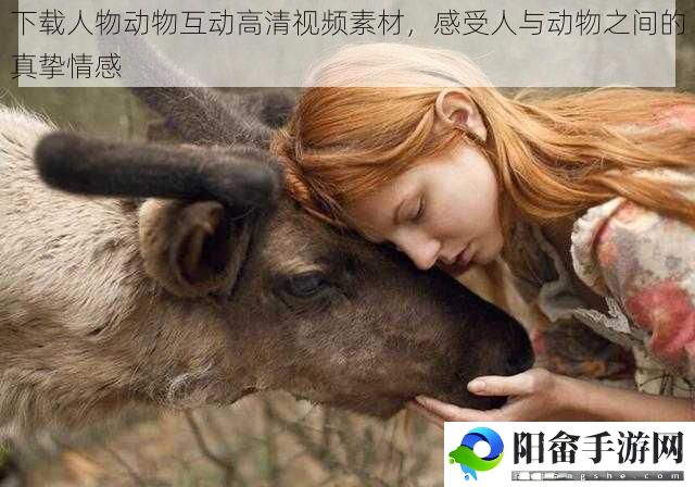 下载人物动物互动高清视频素材，感受人与动物之间的真挚情感