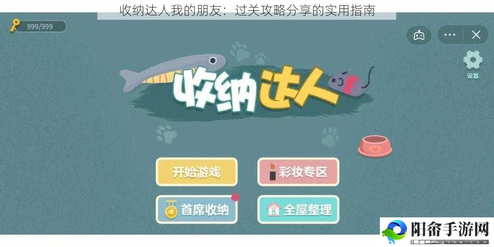 收纳达人我的朋友：过关攻略分享的实用指南