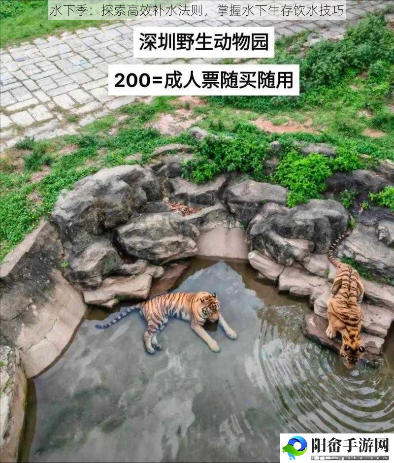 水下季：探索高效补水法则，掌握水下生存饮水技巧