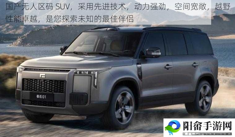 国产无人区码 SUV，采用先进技术，动力强劲，空间宽敞，越野性能卓越，是您探索未知的最佳伴侣