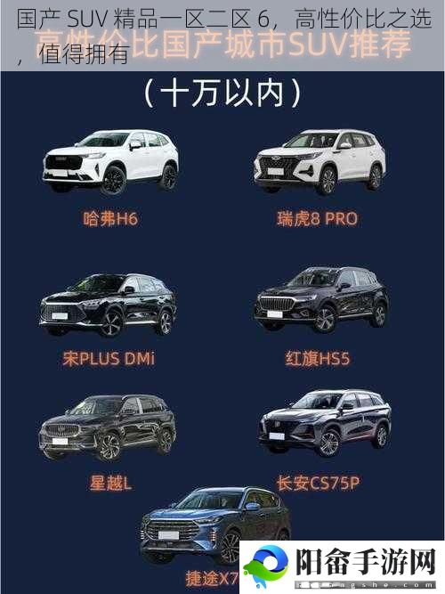 国产 SUV 精品一区二区 6，高性价比之选，值得拥有