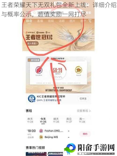 王者荣耀天下无双礼包全新上线：详细介绍与概率公示，超值奖励一网打尽