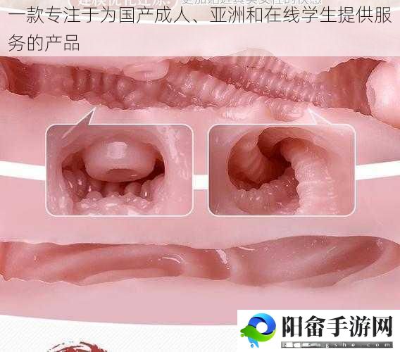 一款专注于为国产成人、亚洲和在线学生提供服务的产品