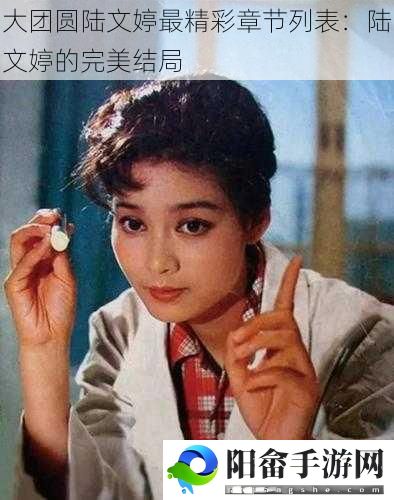 大团圆陆文婷最精彩章节列表：陆文婷的完美结局