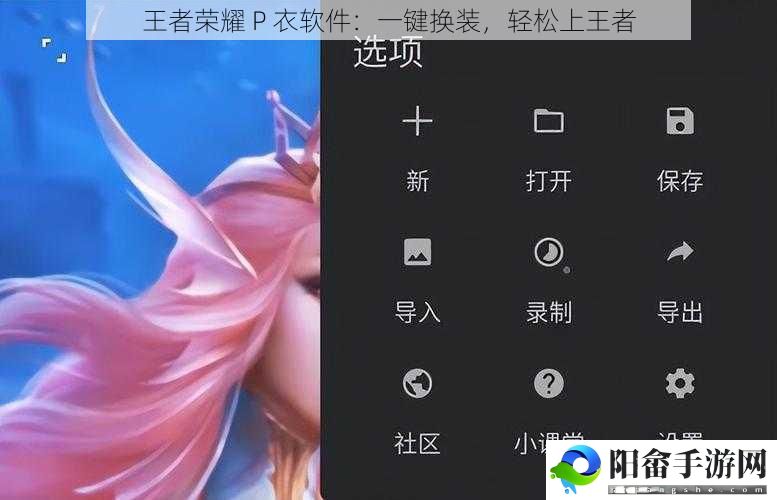 王者荣耀 P 衣软件：一键换装，轻松上王者