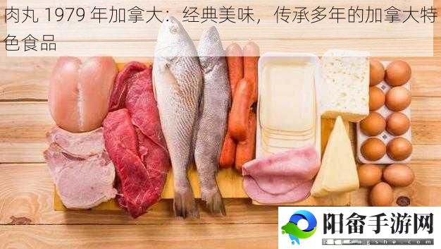 肉丸 1979 年加拿大：经典美味，传承多年的加拿大特色食品